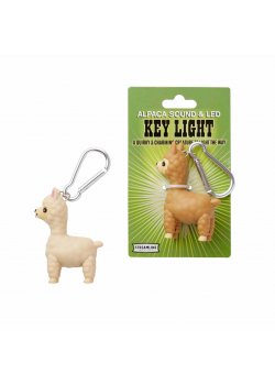 Alpaca Sound and LED Key Light